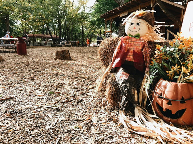 Flapjack & Flannel Festival and Other Fall Events in Traverse City