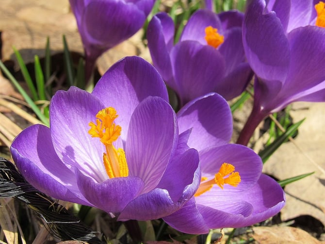 The Ultimate Spring Guide to Traverse City