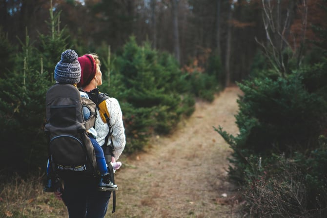 5 Unique Things To Do in Traverse City