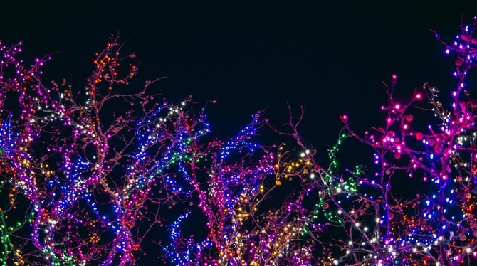 Where to See Christmas Lights in Traverse City