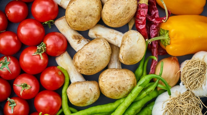 Top June 2024 Events in Traverse City, MI