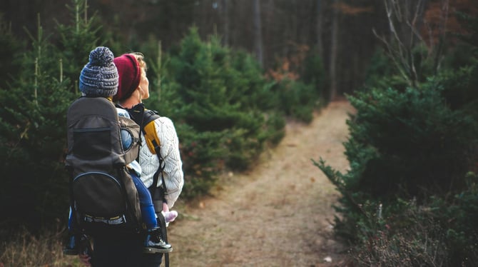5 Unique Things To Do in Traverse City